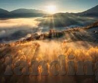 足球的总比分-足球总比分，绿茵场上的终极数字密码